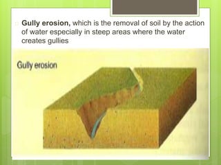  Gully erosion, which is the removal of soil by the action
of water especially in steep areas where the water
creates gullies
 