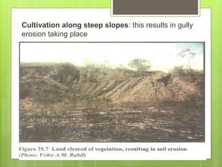  Cultivation along steep slopes: this results in gully
erosion taking place
 