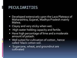 PECULIARITIES
 Developed extensively upon the Lava Plateaus of
Maharashtra, Gujarat, Madhya Pradesh mainly
Malwa.
 Clayey and very sticky when wet.
 High water holding capacity and fertile.
 Have high percentage of lime and a moderate
amount of potash.
 Well suited for cultivation of cotton , hence
called ‘black cotton soil.
 Sugarcane, wheat, and groundnut are
cultivated
 