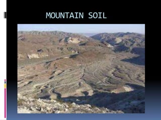 MOUNTAIN SOIL
 