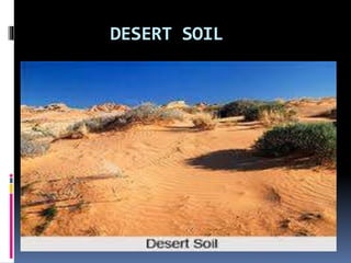 DESERT SOIL
 