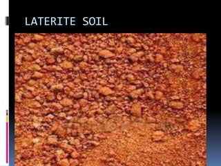 LATERITE SOIL
 