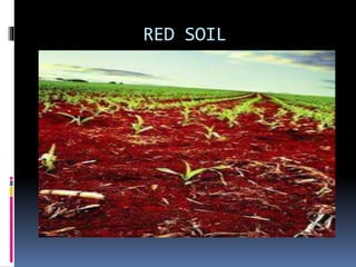 RED SOIL
 