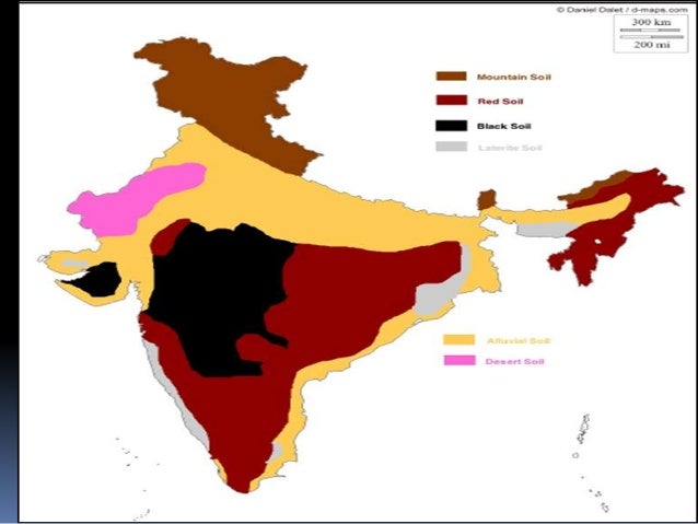Soils in india