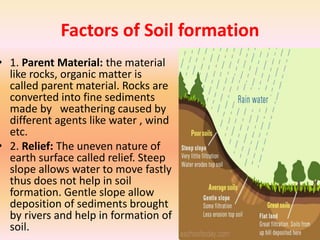 Soilsofindia 180205084843 | PDF