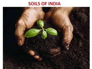 SOILS OF INDIA
 
