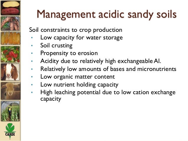 Status Of Soil Resources In The Caribbean And Experiences Of Its Sust