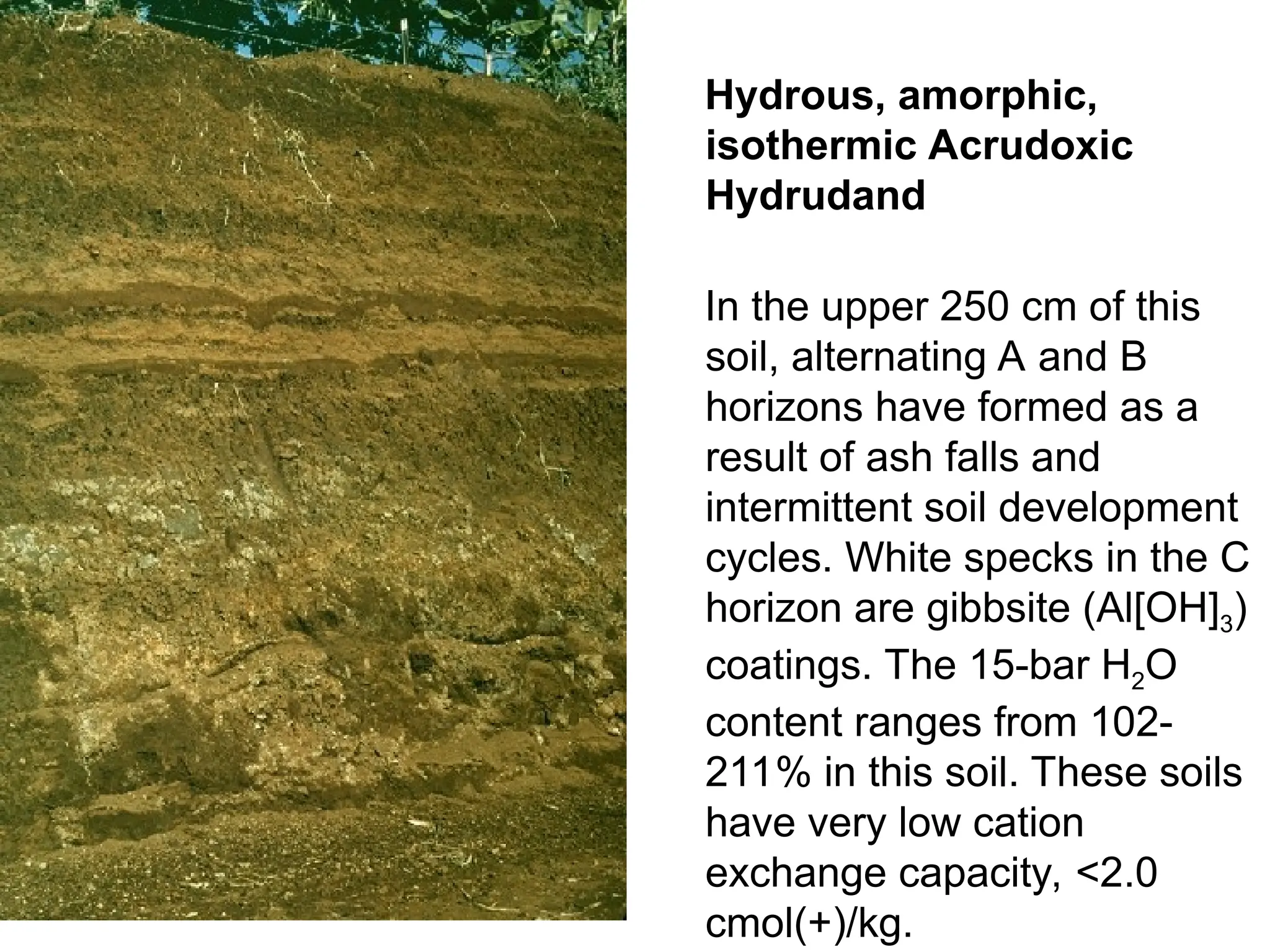 Hydrous, amorphic,
isothermic Acrudoxic
Hydrudand
In the upper 250 cm of this
soil, alternating A and B
horizons have formed as a
result of ash falls and
intermittent soil development
cycles. White specks in the C
horizon are gibbsite (Al[OH]3)
coatings. The 15-bar H2O
content ranges from 102-
211% in this soil. These soils
have very low cation
exchange capacity, <2.0
cmol(+)/kg.
 