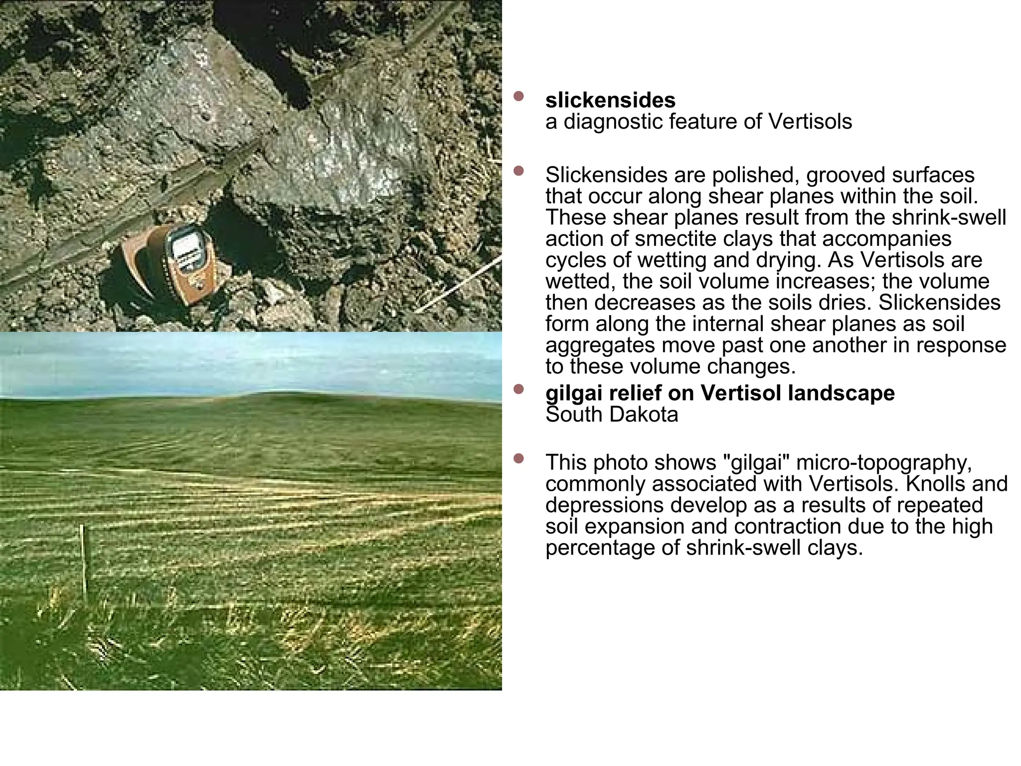 slickensides
a diagnostic feature of Vertisols
 Slickensides are polished, grooved surfaces
that occur along shear planes within the soil.
These shear planes result from the shrink-swell
action of smectite clays that accompanies
cycles of wetting and drying. As Vertisols are
wetted, the soil volume increases; the volume
then decreases as the soils dries. Slickensides
form along the internal shear planes as soil
aggregates move past one another in response
to these volume changes.
 gilgai relief on Vertisol landscape
South Dakota
 This photo shows "gilgai" micro-topography,
commonly associated with Vertisols. Knolls and
depressions develop as a results of repeated
soil expansion and contraction due to the high
percentage of shrink-swell clays.
 