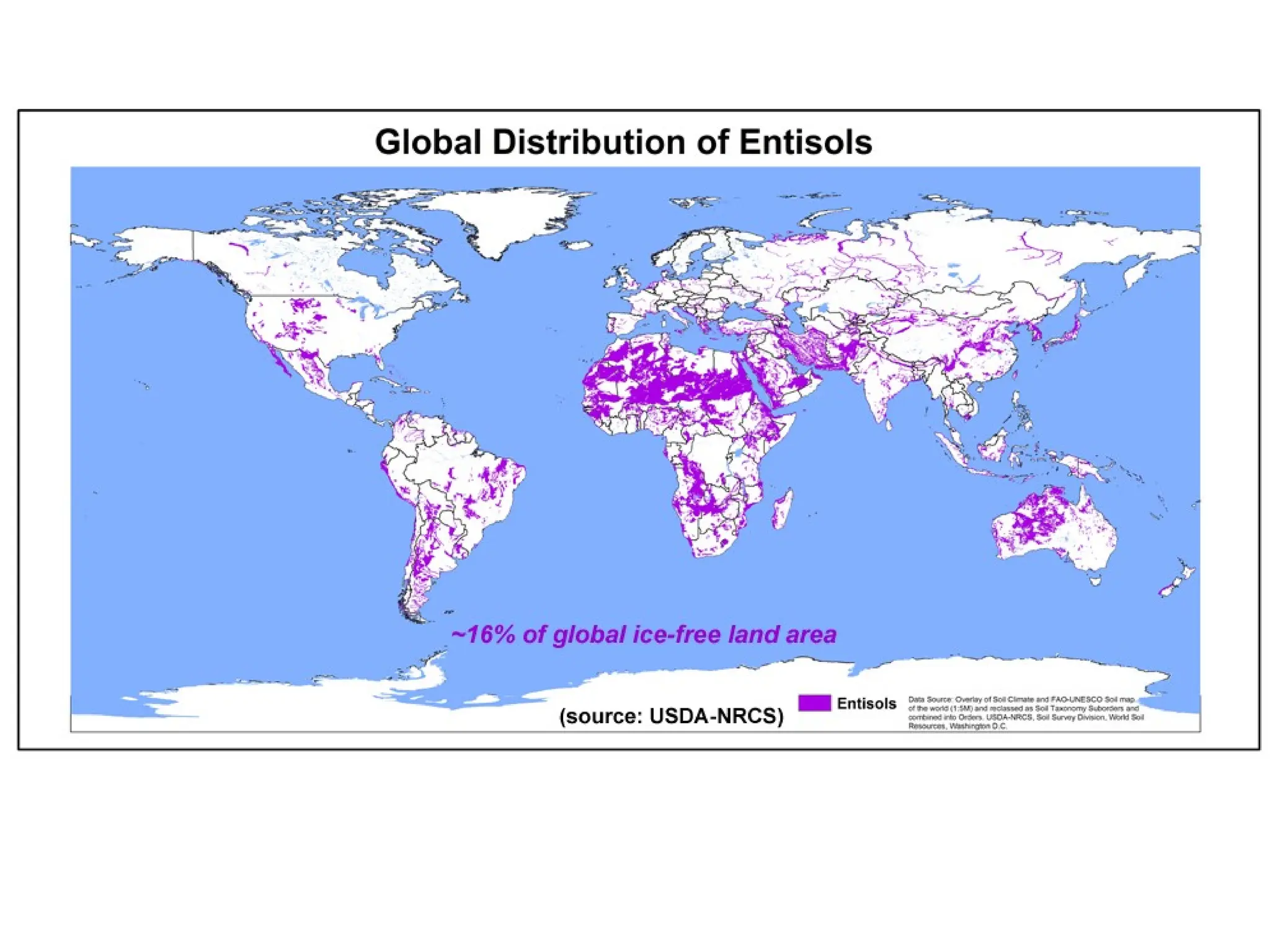 Soils of the worldforstudentinuniversity.ppt
