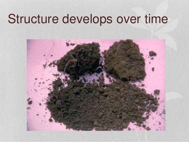 Soils Fertilizers And Potting Mixes