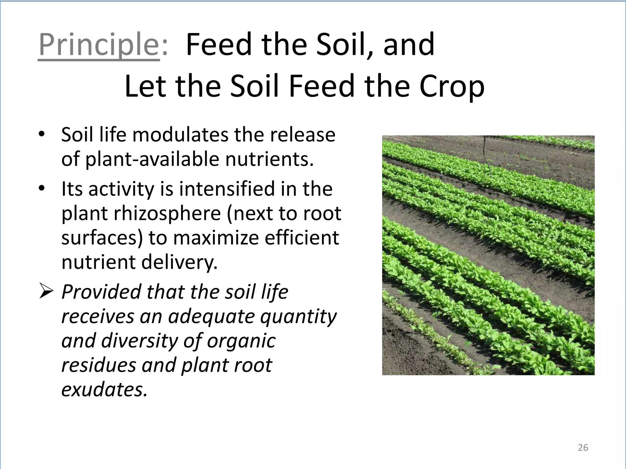 Principle: Feed the Soil, and
Let the Soil Feed the Crop
• Soil life modulates the release
of plant-available nutrients.
• Its activity is intensified in the
plant rhizosphere (next to root
surfaces) to maximize efficient
nutrient delivery.
 Provided that the soil life
receives an adequate quantity
and diversity of organic
residues and plant root
exudates.
26

 