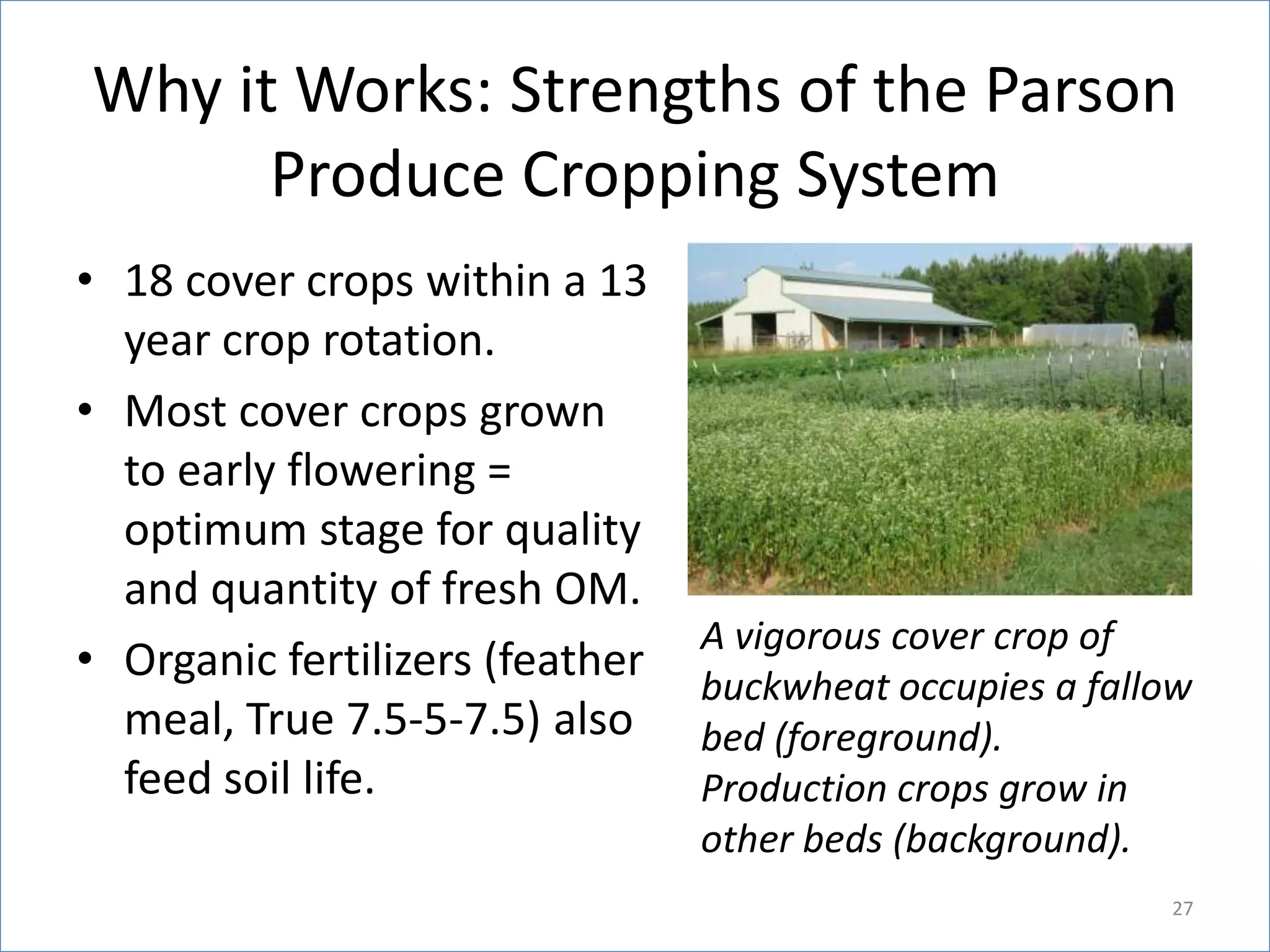Why it Works: Strengths of the Parson
Produce Cropping System
• 18 cover crops within a 13
year crop rotation.
• Most cover crops grown
to early flowering =
optimum stage for quality
and quantity of fresh OM.
• Organic fertilizers (feather
meal, True 7.5-5-7.5) also
feed soil life.

A vigorous cover crop of
buckwheat occupies a fallow
bed (foreground).
Production crops grow in
other beds (background).
27

 