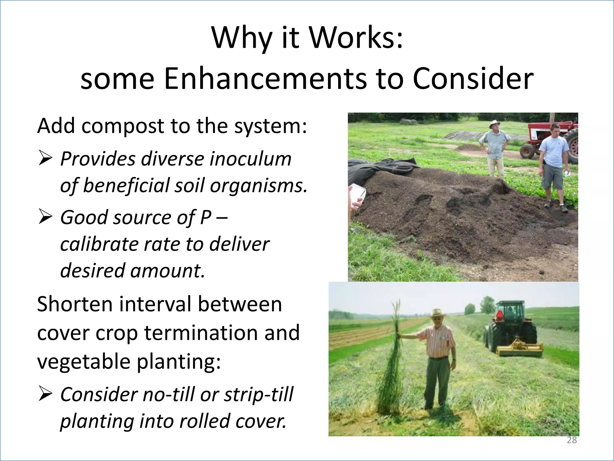 Why it Works:
some Enhancements to Consider
Add compost to the system:
 Provides diverse inoculum
of beneficial soil organisms.
 Good source of P –
calibrate rate to deliver
desired amount.

Shorten interval between
cover crop termination and
vegetable planting:
 Consider no-till or strip-till
planting into rolled cover.
28

 