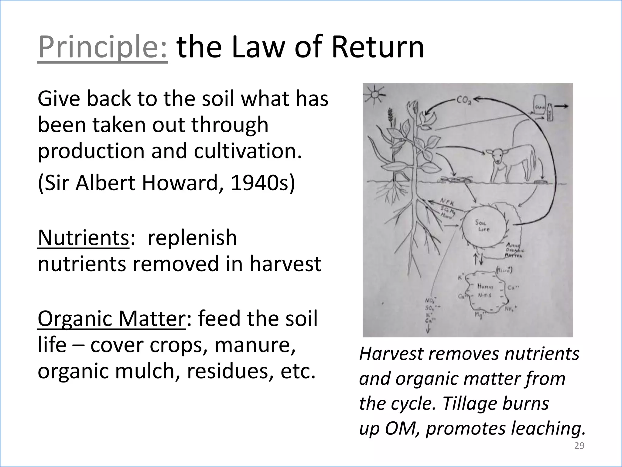 Principle: the Law of Return
Give back to the soil what has
been taken out through
production and cultivation.
(Sir Albert Howard, 1940s)
Nutrients: replenish
nutrients removed in harvest
Organic Matter: feed the soil
life – cover crops, manure,
organic mulch, residues, etc.

Harvest removes nutrients
and organic matter from
the cycle. Tillage burns
up OM, promotes leaching.
29

 