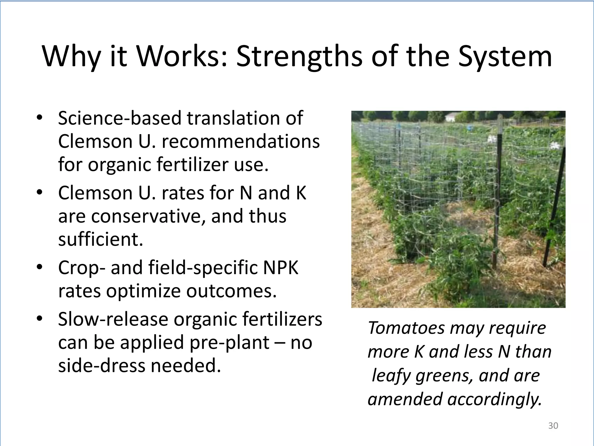 Why it Works: Strengths of the System
• Science-based translation of
Clemson U. recommendations
for organic fertilizer use.
• Clemson U. rates for N and K
are conservative, and thus
sufficient.
• Crop- and field-specific NPK
rates optimize outcomes.
• Slow-release organic fertilizers
can be applied pre-plant – no
side-dress needed.

Tomatoes may require
more K and less N than
leafy greens, and are
amended accordingly.
30

 
