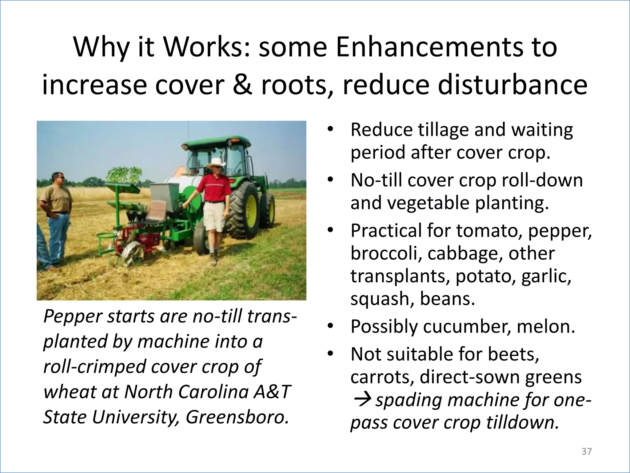 Why it Works: some Enhancements to
increase cover & roots, reduce disturbance

Pepper starts are no-till transplanted by machine into a
roll-crimped cover crop of
wheat at North Carolina A&T
State University, Greensboro.

• Reduce tillage and waiting
period after cover crop.
• No-till cover crop roll-down
and vegetable planting.
• Practical for tomato, pepper,
broccoli, cabbage, other
transplants, potato, garlic,
squash, beans.
• Possibly cucumber, melon.
• Not suitable for beets,
carrots, direct-sown greens
 spading machine for onepass cover crop tilldown.
37

 