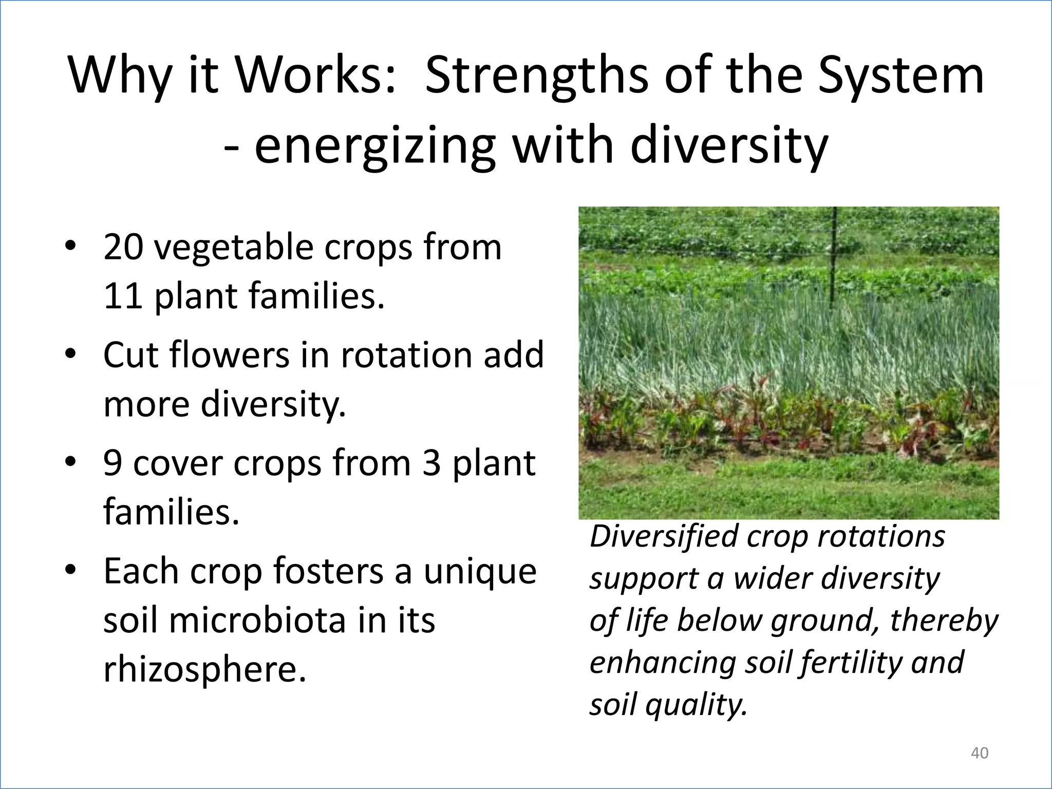 Why it Works: Strengths of the System
- energizing with diversity
• 20 vegetable crops from
11 plant families.
• Cut flowers in rotation add
more diversity.
• 9 cover crops from 3 plant
families.
• Each crop fosters a unique
soil microbiota in its
rhizosphere.

Diversified crop rotations
support a wider diversity
of life below ground, thereby
enhancing soil fertility and
soil quality.
40

 