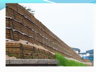 Soil stabilisation (1)