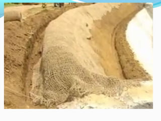 Soil stabilisation (1)