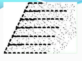 Soil stabilisation (1)