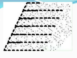 SOIL STABILISATION (2).ppt