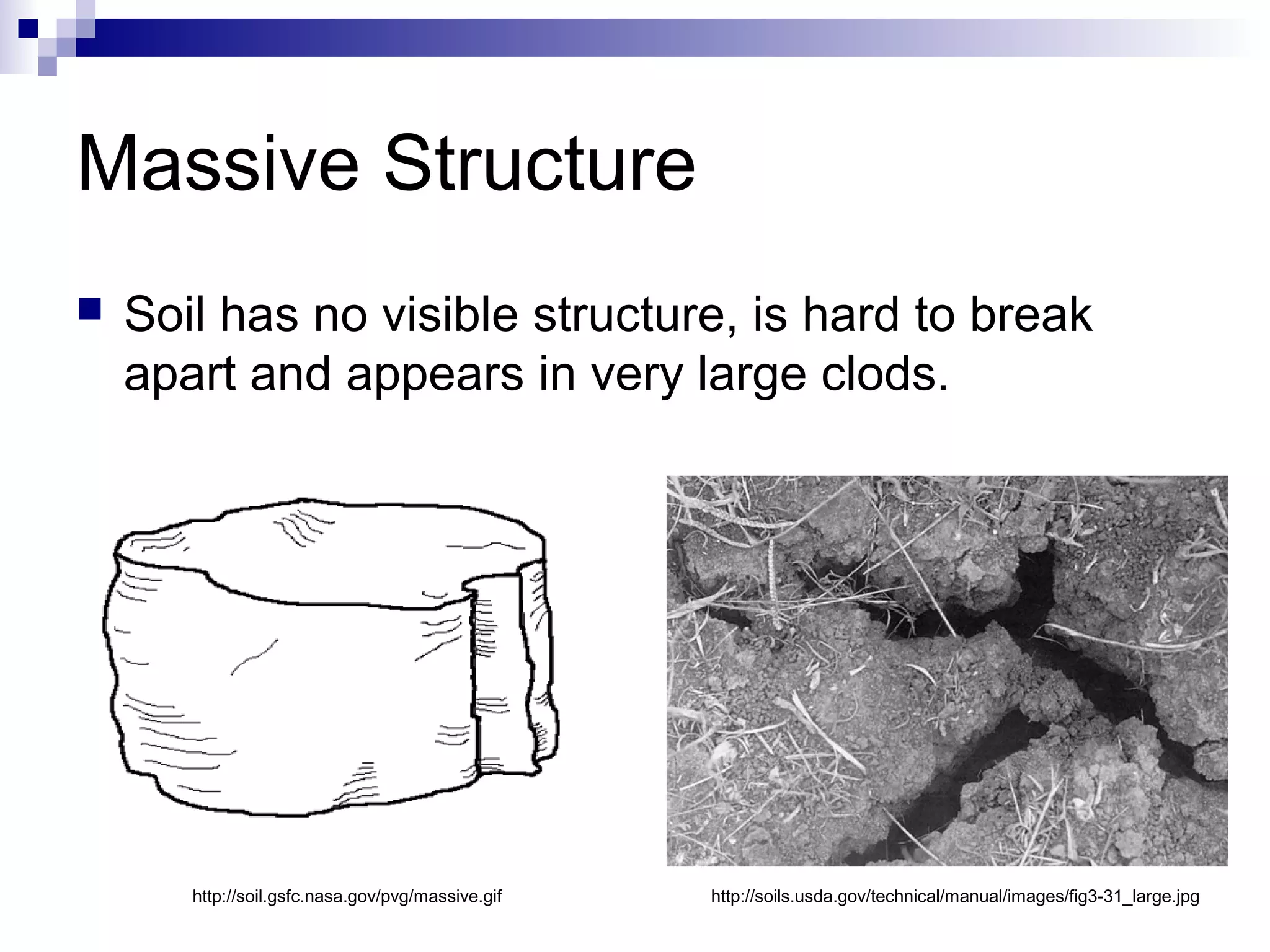 Massive Structure
 Soil has no visible structure, is hard to break
apart and appears in very large clods.
http://soil.gsfc.nasa.gov/pvg/massive.gif http://soils.usda.gov/technical/manual/images/fig3-31_large.jpg
 