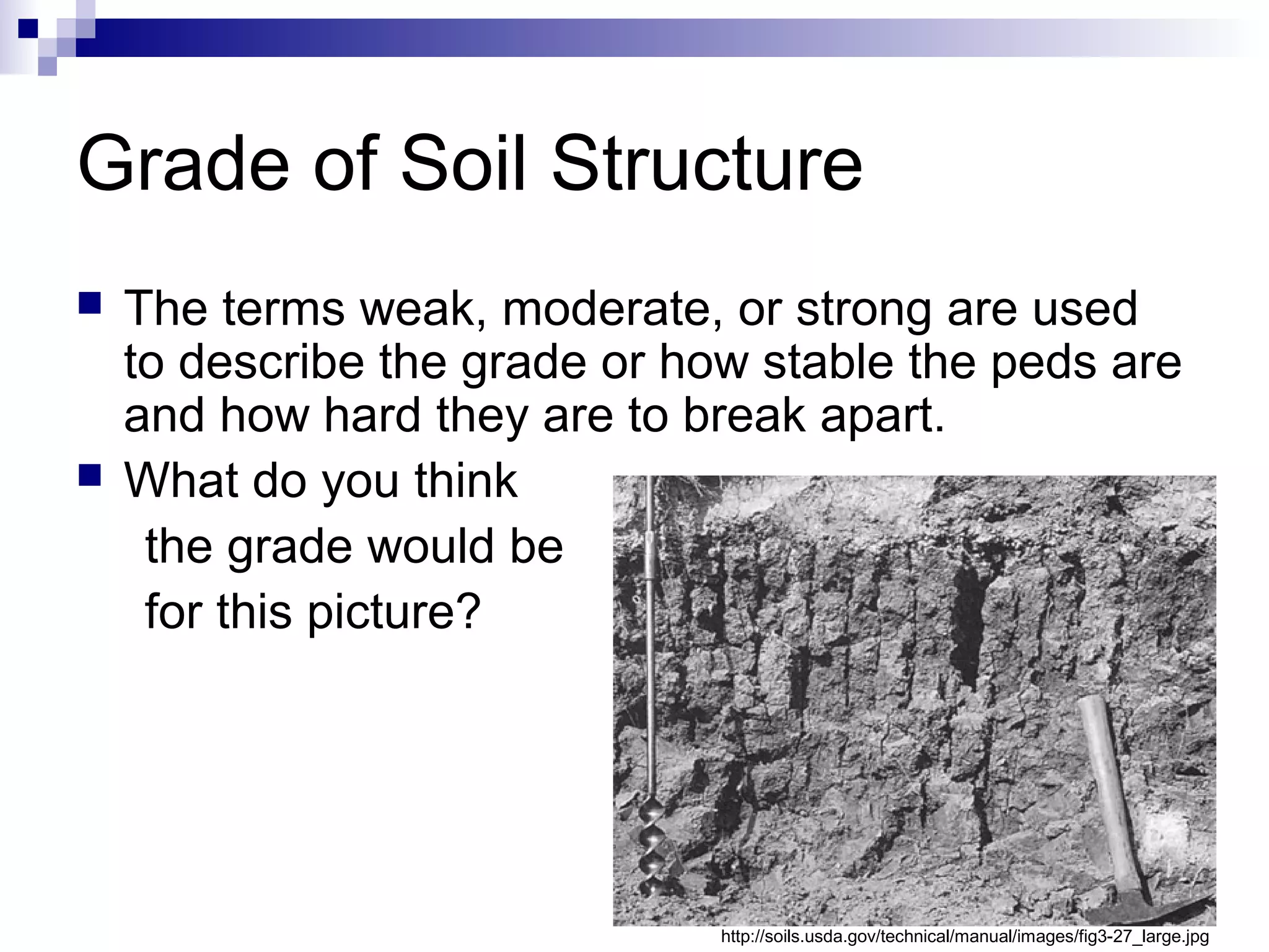 Grade of Soil Structure
 The terms weak, moderate, or strong are used
to describe the grade or how stable the peds are
and how hard they are to break apart.
 What do you think
the grade would be
for this picture?
http://soils.usda.gov/technical/manual/images/fig3-27_large.jpg
 