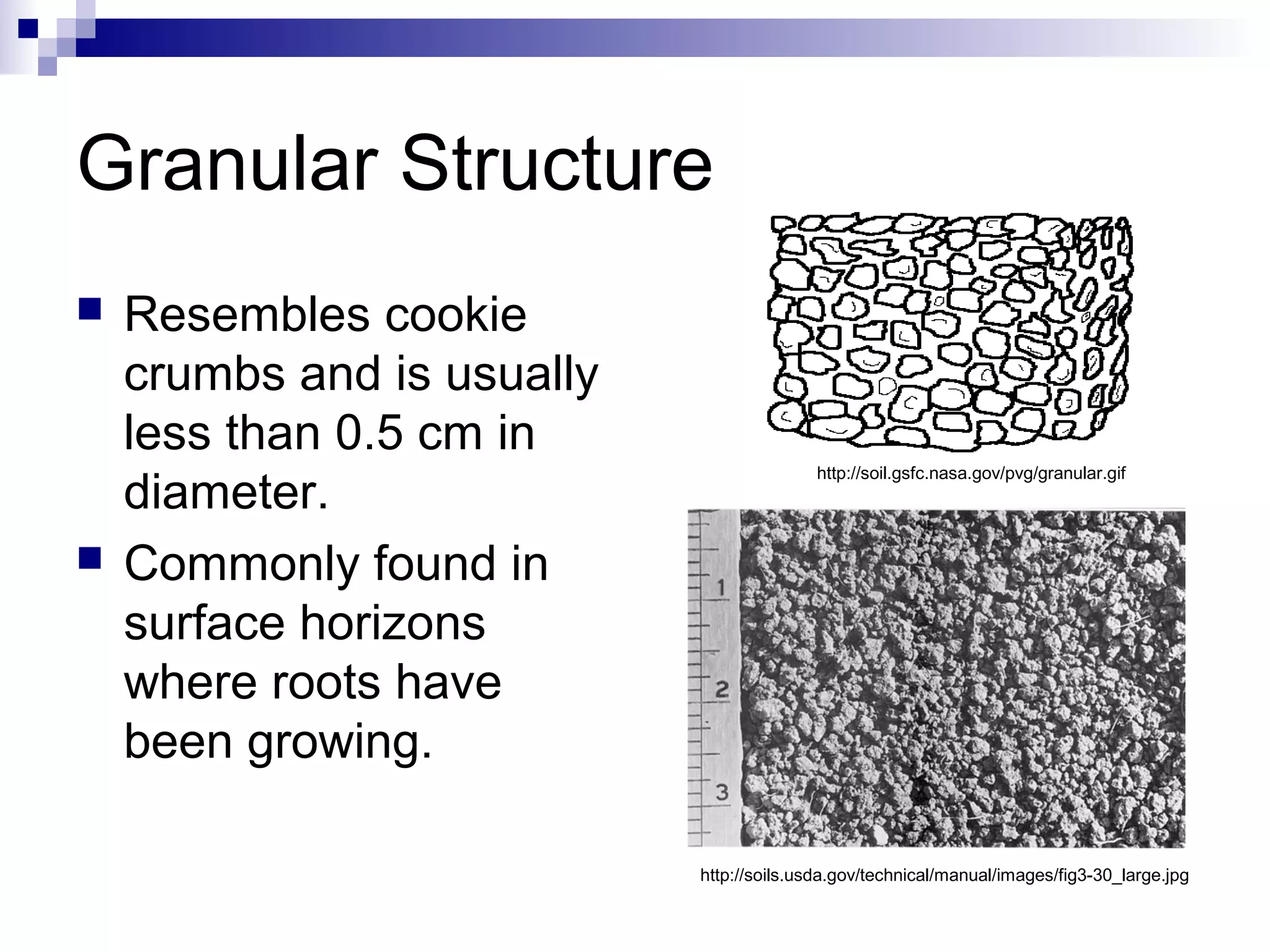 Granular Structure
 Resembles cookie
crumbs and is usually
less than 0.5 cm in
diameter.
 Commonly found in
surface horizons
where roots have
been growing.
http://soil.gsfc.nasa.gov/pvg/granular.gif
http://soils.usda.gov/technical/manual/images/fig3-30_large.jpg
 