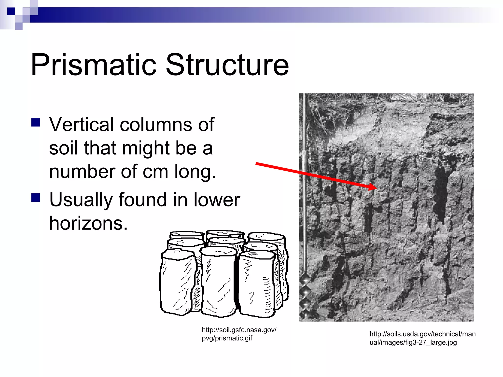 Prismatic Structure
 Vertical columns of
soil that might be a
number of cm long.
 Usually found in lower
horizons.
http://soil.gsfc.nasa.gov/
pvg/prismatic.gif
http://soils.usda.gov/technical/man
ual/images/fig3-27_large.jpg
 