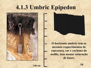16
4.1.3 Umbric Epipedon
140 cm
O horizonte umbric tem os
mesmos requerimentos de
espessura, cor e carbono do
mollic, mas menor saturação
de bases.
 