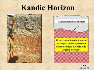 27
Kandic Horizon
O horizonte kandic é muito
intemperizado e apresenta
características do oxic e do
argillic horizon.
Mudança textural abrupta
cdrom1_98
 