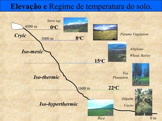 0o
C
8o
C
15o
C
22o
C
3000 m
1600 m
0 m
Iso-hyperthermic
Iso-thermic
Iso-mesic
Cryic
4500 m
Elevação e Regime de temperatura do solo.
Páramo Vegetation
Snow top
Tea
Plantation
Altiplano
Wheat, Barley
Rice
Oilpalm
Cacao
 