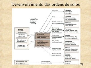 79
Desenvolvimento das ordens de solos
 