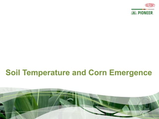 Soil Temperature and Corn Emergence
 