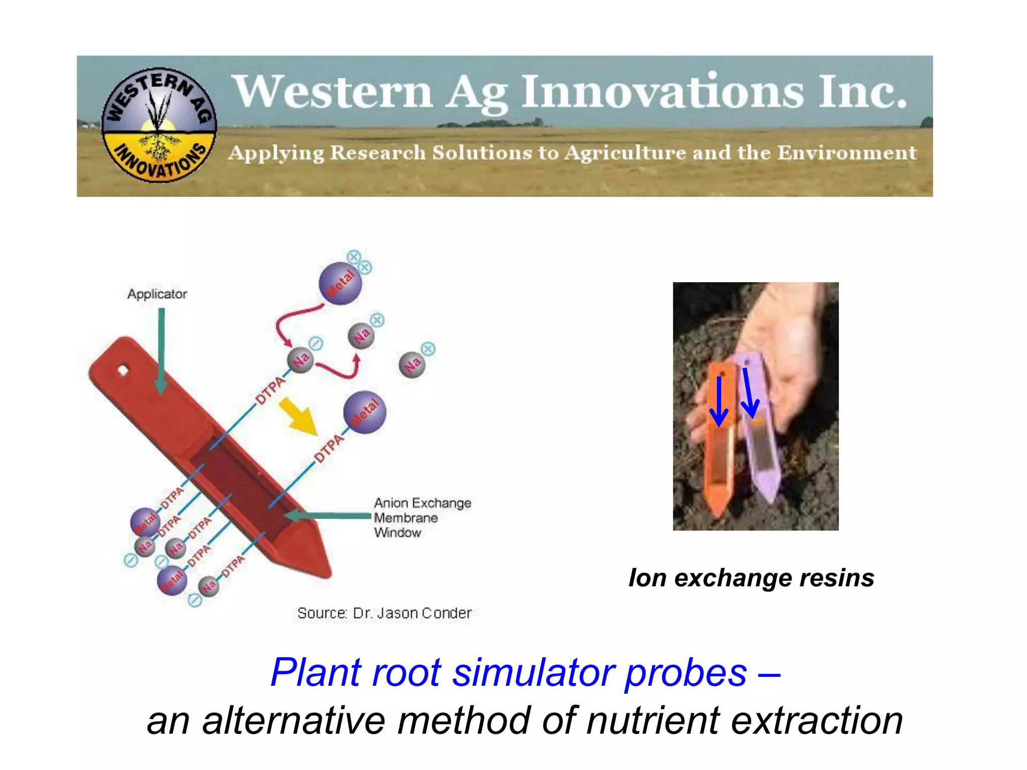 Ion exchange resins


       Plant root simulator probes –
an alternative method of nutrient extraction
 