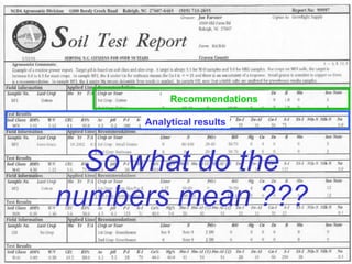 Recommendations

     Analytical results



  So what do the
numbers mean ???
 