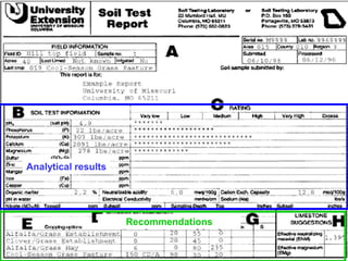 Analytical results




                     Recommendations
 