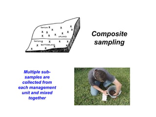 Composite
                    sampling



   Multiple sub-
   samples are
  collected from
each management
  unit and mixed
     together
 
