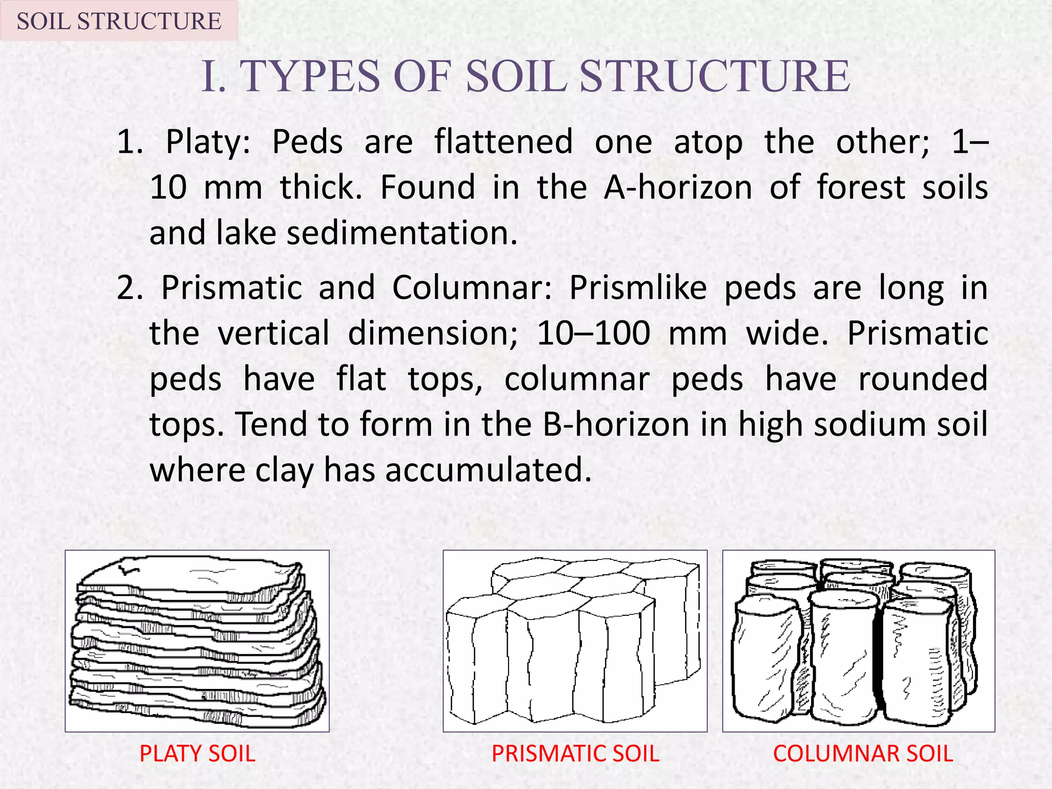 I. TYPES OF SOIL STRUCTURE
1. Platy: Peds are flattened one atop the other; 1–
10 mm thick. Found in the A-horizon of forest soils
and lake sedimentation.
2. Prismatic and Columnar: Prismlike peds are long in
the vertical dimension; 10–100 mm wide. Prismatic
peds have flat tops, columnar peds have rounded
tops. Tend to form in the B-horizon in high sodium soil
where clay has accumulated.
SOIL STRUCTURE
PLATY SOIL COLUMNAR SOILPRISMATIC SOIL
 