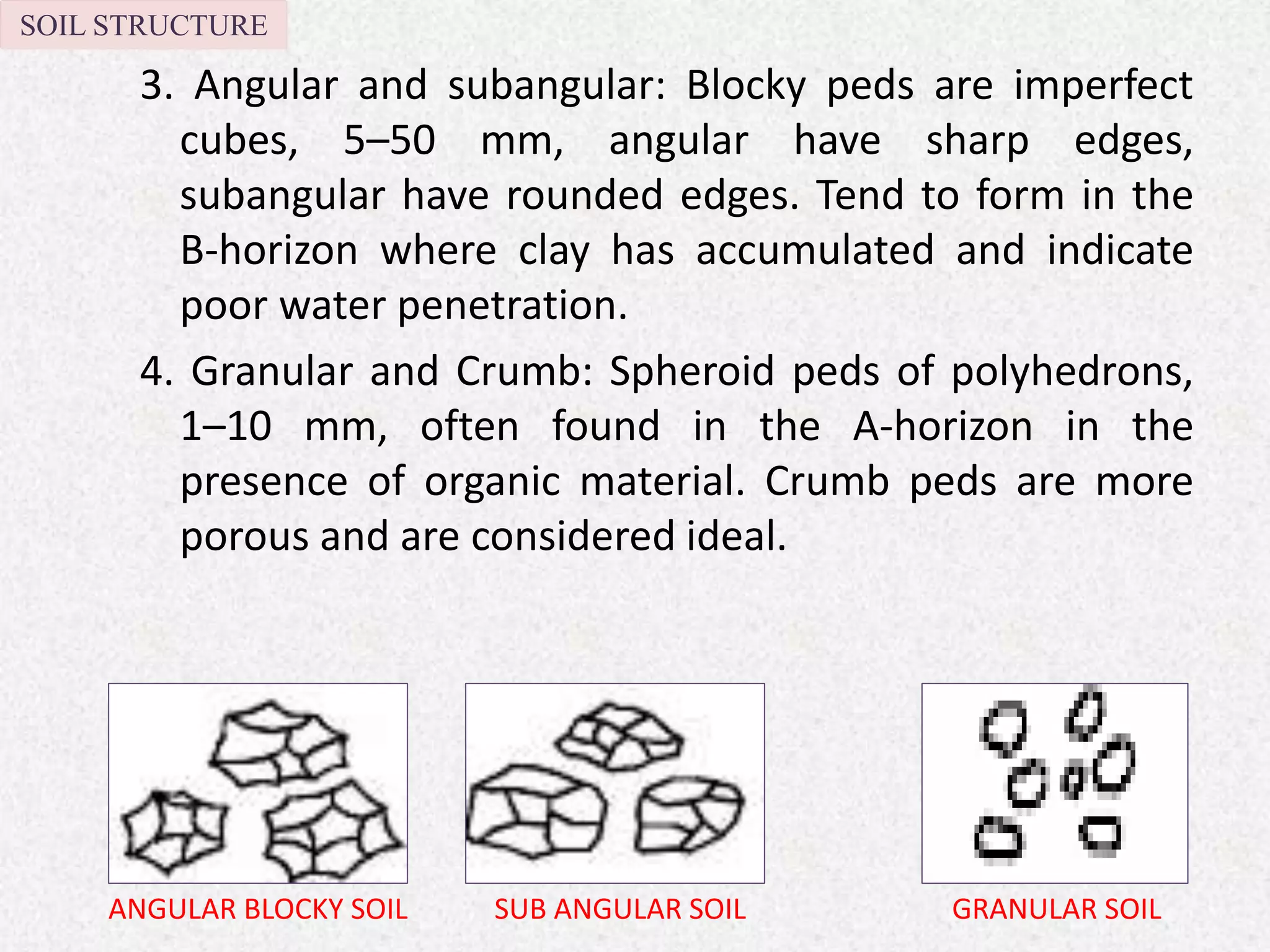 3. Angular and subangular: Blocky peds are imperfect
cubes, 5–50 mm, angular have sharp edges,
subangular have rounded edges. Tend to form in the
B-horizon where clay has accumulated and indicate
poor water penetration.
4. Granular and Crumb: Spheroid peds of polyhedrons,
1–10 mm, often found in the A-horizon in the
presence of organic material. Crumb peds are more
porous and are considered ideal.
SOIL STRUCTURE
ANGULAR BLOCKY SOIL SUB ANGULAR SOIL GRANULAR SOIL
 