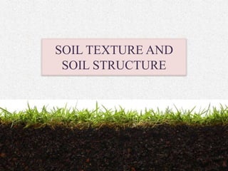 SOIL TEXTURE AND
SOIL STRUCTURE
 