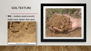 SOIL TEXTURE
• Silt – medium-sized; smooth,
holds water better than sand.
 