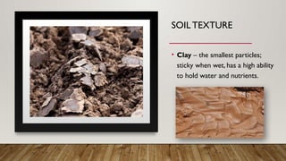 SOIL TEXTURE
• Clay – the smallest particles;
sticky when wet, has a high ability
to hold water and nutrients.
 