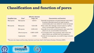 Classification and function of pores
 