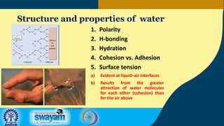 Structure and properties of water
1. Polarity
2. H-bonding
3. Hydration
4. Cohesion vs. Adhesion
5. Surface tension
a) Evident at liquid–air interfaces
b) Results from the greater
attraction of water molecules
for each other (cohesion) than
for the air above
P.C: Ray R. Weil
 