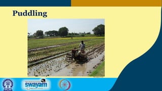 Puddling
TNAU Agritech Portal
 