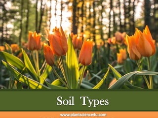 Soil Types