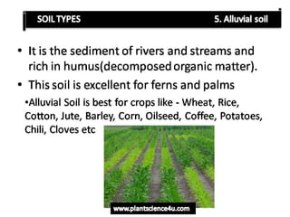 Soil Types