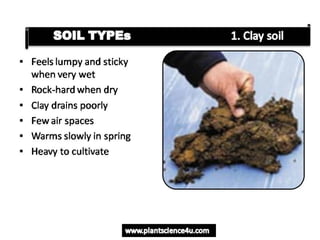 Soil Types